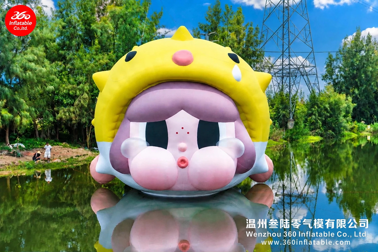 5.webp